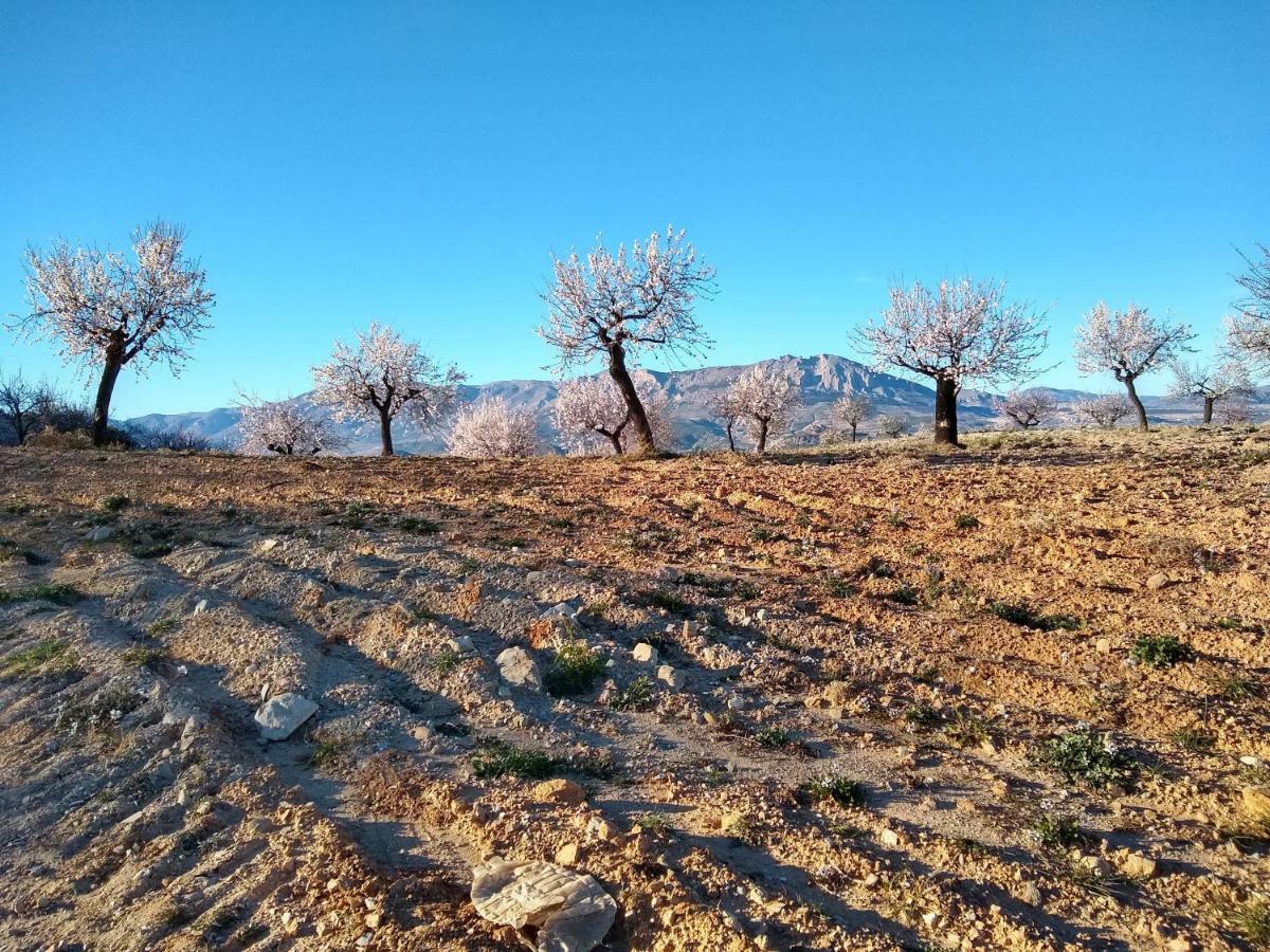 Apartament Cortijo La Estrella Vélez Rubio Zewnętrze zdjęcie